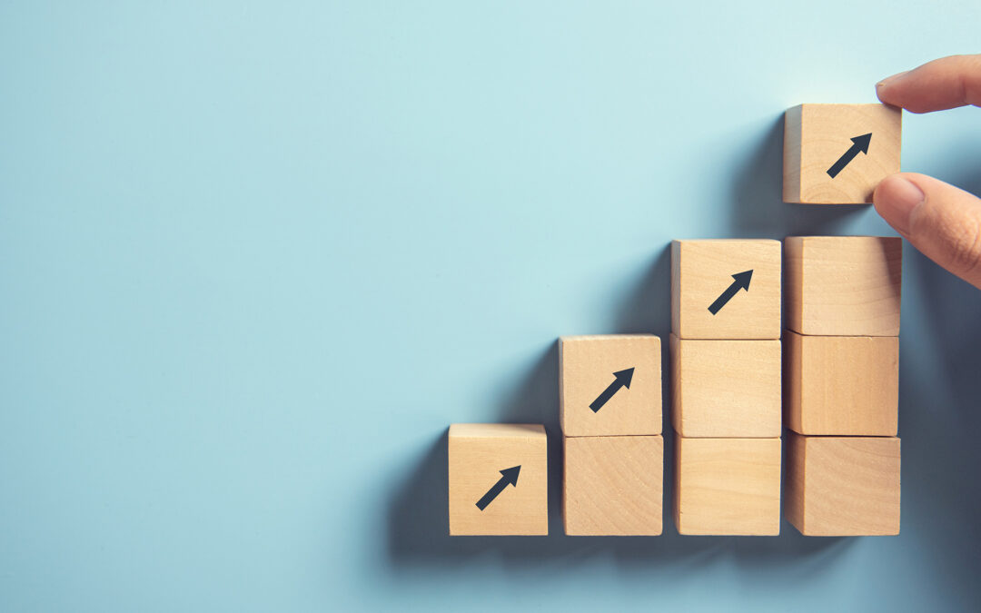 How a curious accountant can make a big difference in your success